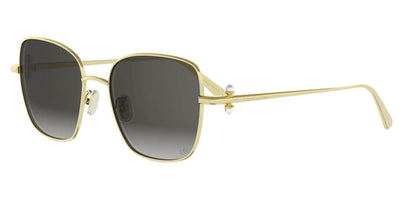 Dior Tribales S1U Square
