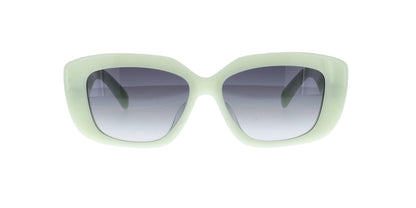 CELINE Triomphe CL40216U Square