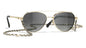 Chanel 4292 Mixed