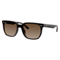 Ray-Ban RB4466D 714/13 Sunglasses Square